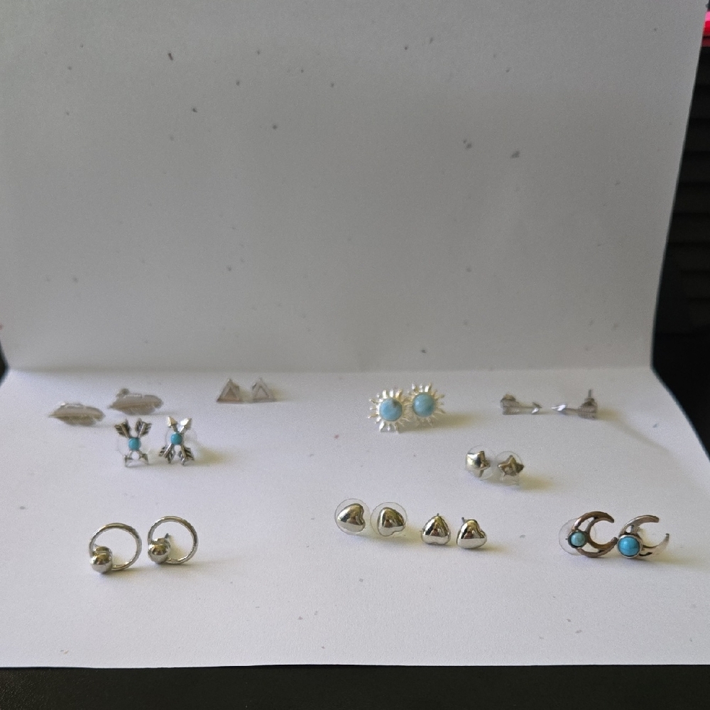 10 Pairs Of Earrings